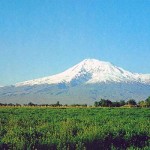 Դրսեւորել ժամանակակից հայկական ազգային-պետական քաղաքական մտածողություն
