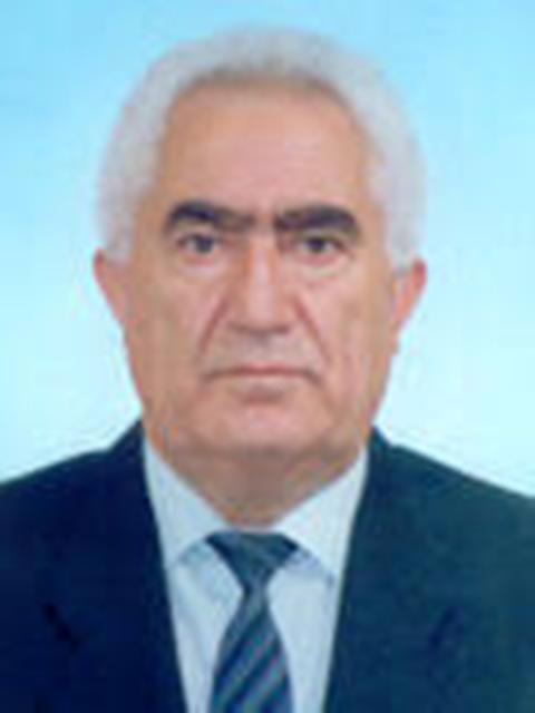 Vladimir Movsisyan
