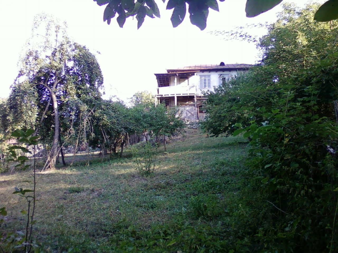 patara