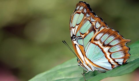 3 (49)