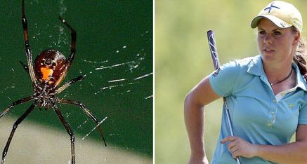 Շվեդ գոլֆիստուհին շարունակել է խաղալ սեւ սարդի մահացու խայթոցից հետո