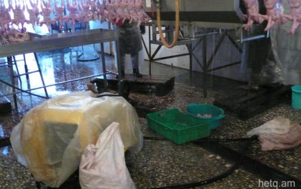 «Գետամեջի» սառեցված հավերի խմբաքանակում մեծ քանակի սալմոնելա է հայտնաբերվել