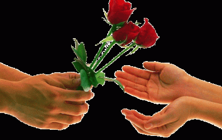 ՀՀԿ-ի վարդերը`ԲՀԿ-ի քարոզարշավին