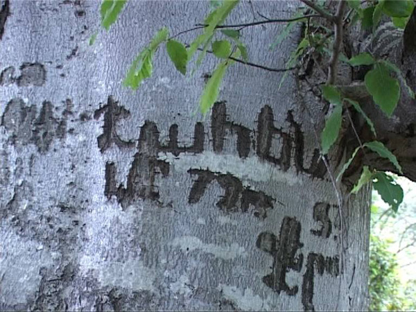 Կարմիրգյուղի  ծառը կրում է  ադրբեջանցի նախարարի  հայերեն «ինքնագիրը»