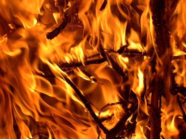 Այրվել է մոտ 100 հեկտար խոտածածկ տարածք