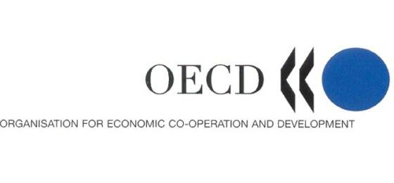 Եղիշե Կիրակոսյանը ներկայացրել է Հակակոռուպցիոն ցանցի Ստամբուլյան  գործողությունների ծրագրի շրջանակներում Հայաստանի ձեռնարկած քայլերը