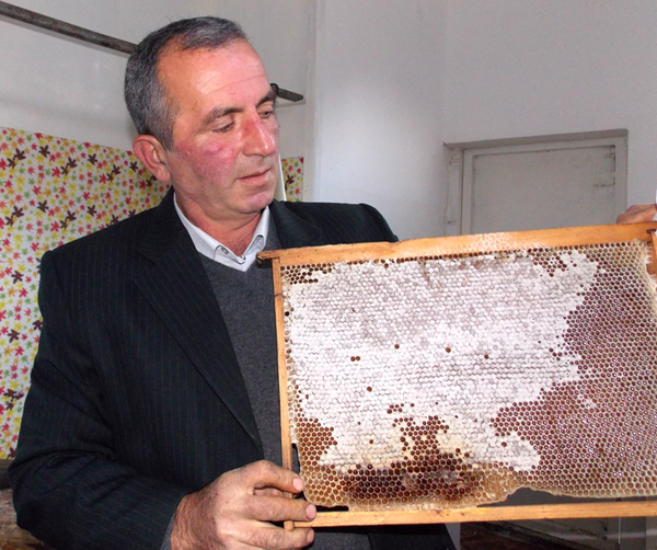Սյունիքի մեղրը Ֆրանսիայում առաջին տեղ է զբաղեցրել եւ էկոլոգիապես մաքուր ճանաչվել