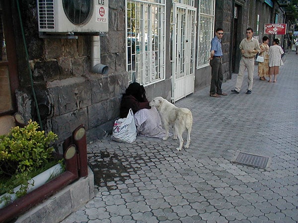 Եվրոպան եւ մենք. Ով, սոցիալական արդարություն