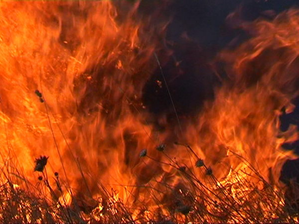 Հրդեհ Պուշկինո գյուղում. այրված տախտակների վրա հայտնաբերվել է տանտիրոջ դին