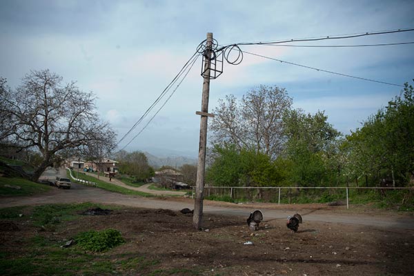 Ազատեկցիների խնձորն այնքան մանր է, որ ամաչում են շուկա տանել