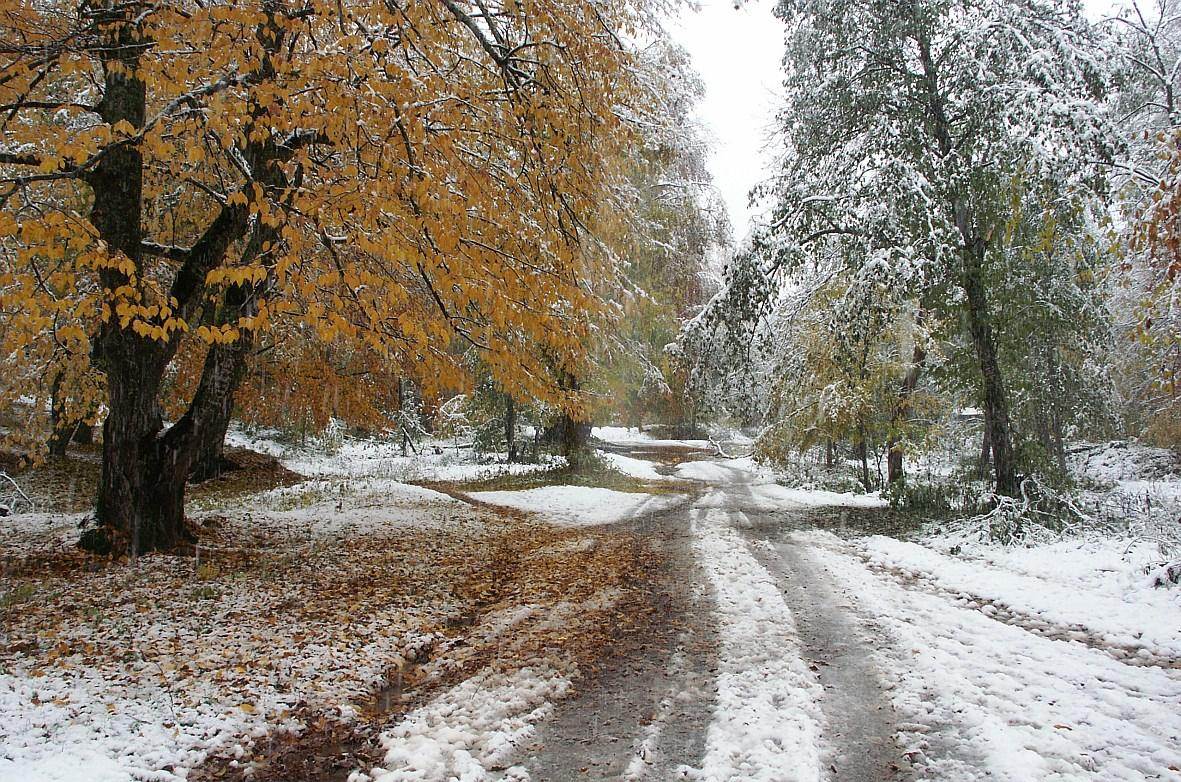 Կապանում ձյուն է տեղացել