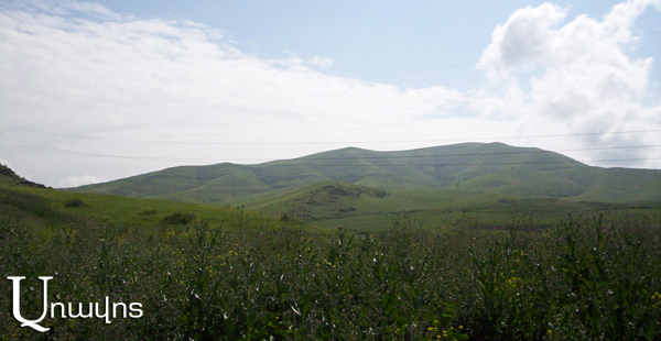 Վրաստանի ադրբեջանցիները Հայաստանի տարածքում են արածեցնում իրենց անասունները