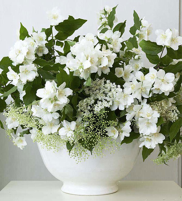 Երբ տրամադրություն չունեք` գնեք սպիտակ ծաղիկներ
