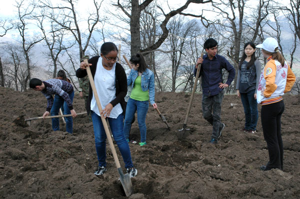 Շուրջ 4000 նորատունկ ծառեր` «Դիլիջան» ազգային պարկում