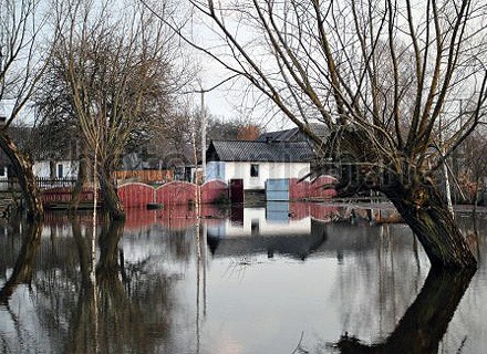 Վարարած գետի ջուրը լցվում է տները