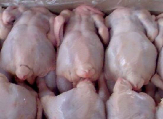 Կրթության փորձագետ. «Փչացած հավերով պետք է դատավորներին կերակրել»