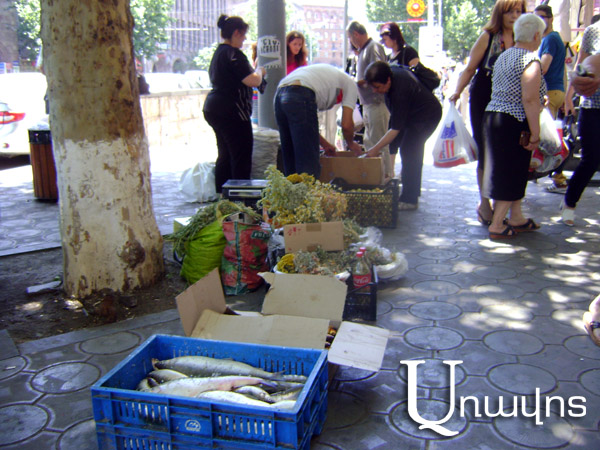 Շարունակվում են բացօթյա ապօրինի առևտրի կանխարգելման ուղղությամբ աշխատանքները