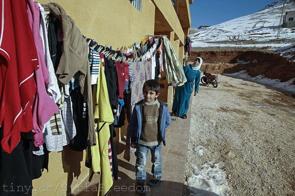 Հայաստանում փախստականները և տեղահանված անձինք դեռևս մի շարք մարտահրավերների են բախվում