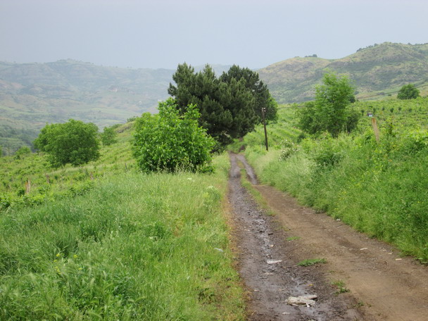 Անզգույշ կերպով ընկերոջը սպանած նորաշենցուն մեղադրանք է առաջադրվել 2 հոդվածով