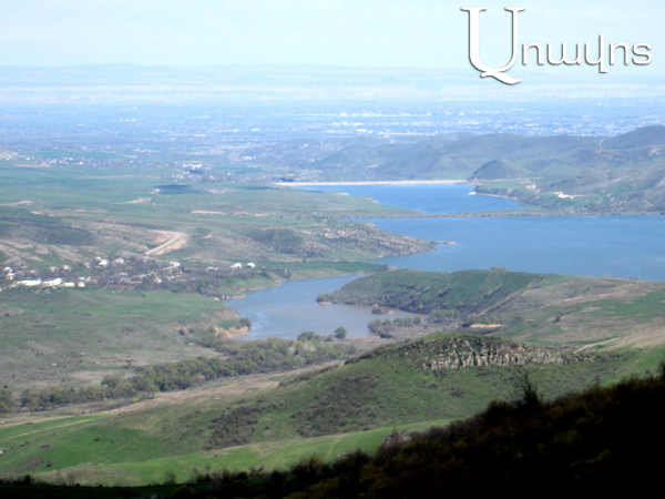 Կովն ու ցլիկը՝ հայ-ադրբեջանական սահմանի չեզոք գոտում