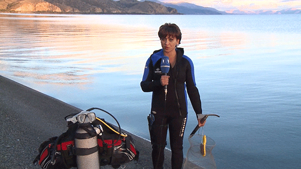 Սևանում առեղծվածային բնակավայր  են հայտնաբերել. ջրասուզորդ լրագրողի հետազոտությունները (Տեսանյութ, ֆոտոշարք)