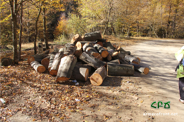 ՀԲՃ. Անտառների հասարակական մոնիտորինգի արդյունքների մի մասն արձանագրել է նաև բնապահպանության նախարարությունը
