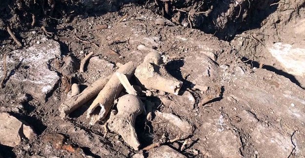 Թուրքիայում մշակույթի տան վերածվող հերթական եկեղեցու բակում մարդկային ոսկորներ են հայտնաբերել. Ermenihaber.am