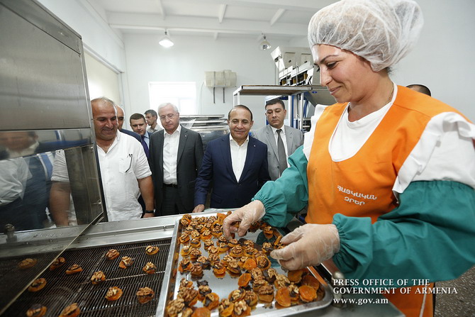 Վարչապետն այցելել է Արարատի մարզ