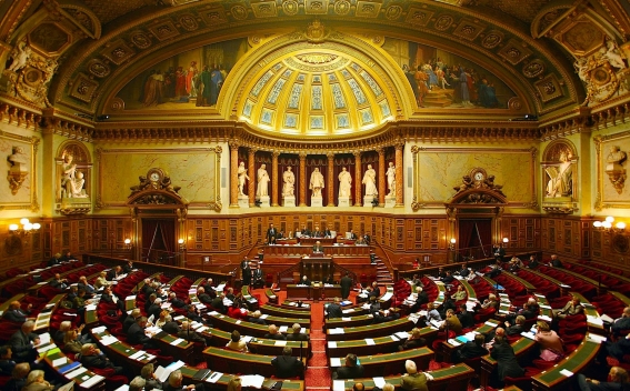 senat