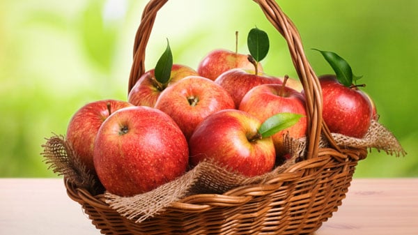 5-6 խնձորի սերմեր ուտելը  բավարարում է օրգանիզմի օրական յոդի պահանջը