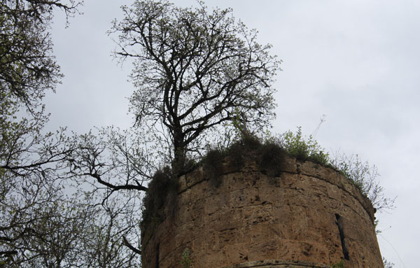 Քաղաքի սրտում մխրճված մի ժայռ,  սա եւս մշակույթ է