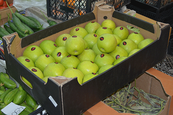 Ադրբեջանական խնձորների գործով դատը, կրկին դատախազի պատճառով, չկայացավ