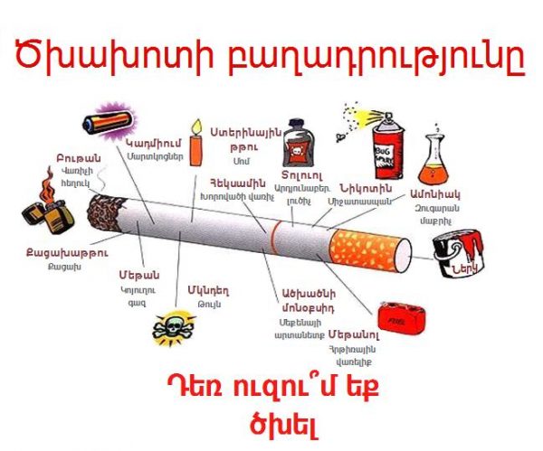 Աշխարհում մահացության յուրաքանչյուր 10-րդ դեպքը ծխելուց է. Հայաստանն ամենաշատ ծխող երկրներից է