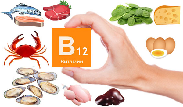 Վիտամին B12-ի նշանակությունը մեր օրգանիզմում