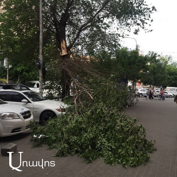 Արարատի քամին Երեւանն ավերել է