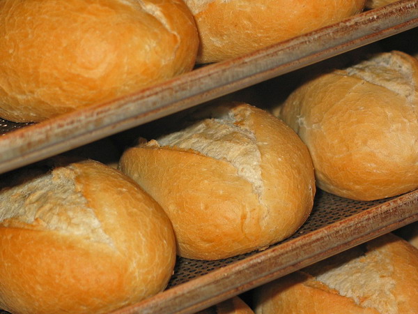 ՍԱՊԾ-ն չի ընդառաջի հացամթերք արտադրողներին. մի քանի օրից բոլորը պետք է հացամթերքը հատուկ մեքենաներով առաքեն