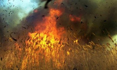 Հրդեհ Ջրառատ գյուղում. այրվել է մոտ 150 հա խոտածածկույթ