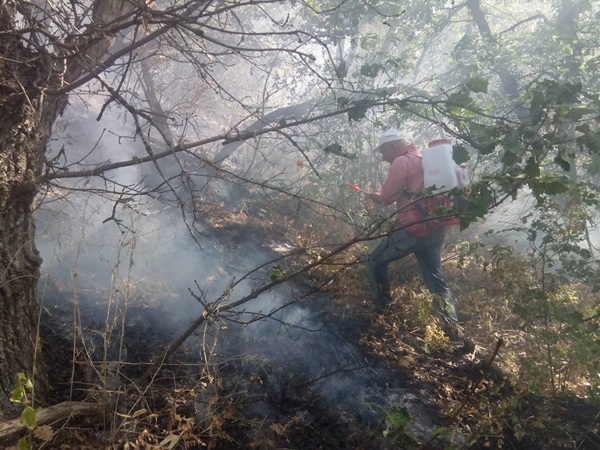 Ի՞նչ տեղի ունեցավ Խոսրովի անտառում