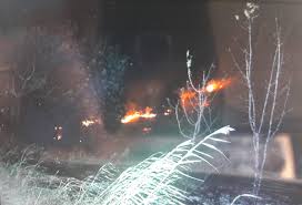 Ազատամարտիկի անփութության պատճառով են այրվել Արտավանի անտառները