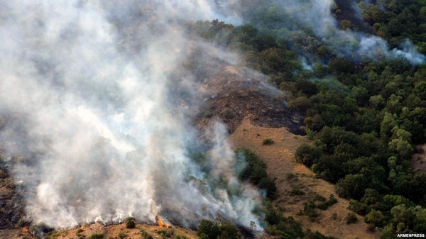 2008-ից անտառային հրդեհներն ավելացել են. հրդեհների մեծ մասը հանդակների այրումն է