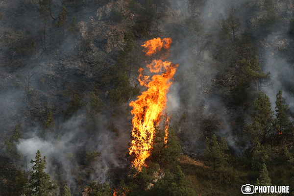 Կարեն Մանվելյան. «Խոսրովի արգելոցում այս պահին 2733 հեկտար անտառ է այրվել, խոշոր կաթնասունները փախել են ու փրկվել են»