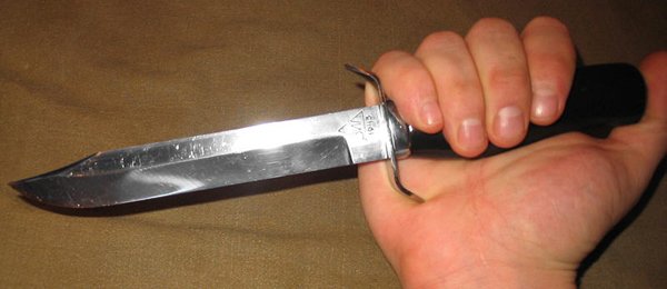 Խոհանոցային դանակով սպանել է, հետո հատել պետական սահմանը