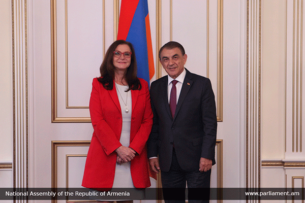 Հայաստանը կարեւորում է ԵԽ բոլոր կառույցների հետ համագործակցությունը. Արա Բաբլոյան