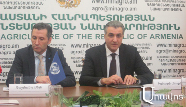 «Պլաստմասսե» բրինձը կոչնչացնեն, Կովկասյան գորշին` «կվերակենդանացնեն» (Տեսանյութ)
