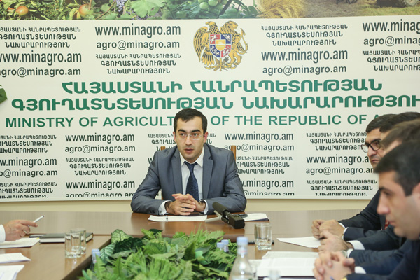 ՀՀ գյուղատնտեսության նախարարությունում քննարկվել են գյուղոլորտին առնչվող ներդրումային նոր ծրագրերը