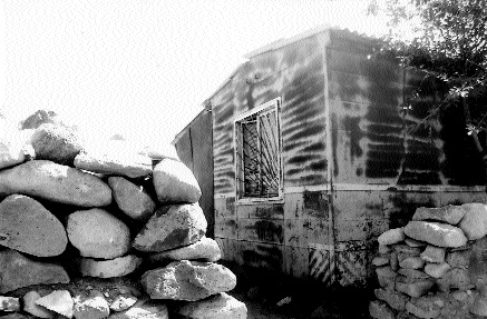 «Ապրելու ու օգնություն չխնդրելու միջոցներ փնտրում եմ, բայց չեմ գտնում»