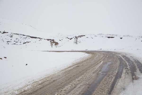 Ախուրյանի և Աշոցքի ավտոճանապարհներին ձյուն է տեղում