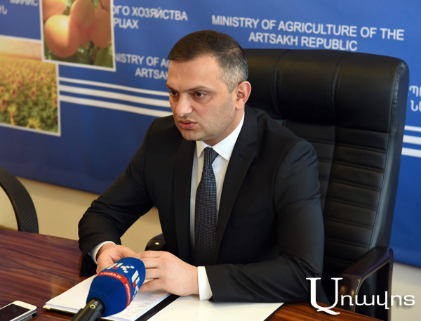 Արցախում այս տարվա բերքի տակ ցանված աշնանացան հացահատիկը աննախադեպ է վերջին 20 տարիների համար. գյուղնախարար