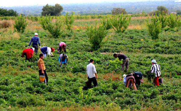 Առաջիկա 5 օրվա եղանակի կանխատեսում