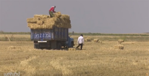 Յուրացման դեպք է բացահայտվել Վարդաբլուր համայնքում